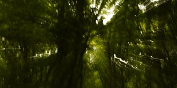 cache/resized/d61d9d091d08b9ebaf0c2602a9e5a0ca.jpg