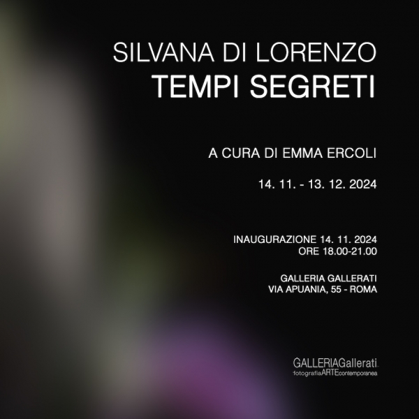 Silvana Di Lorenzo. Tempi segreti