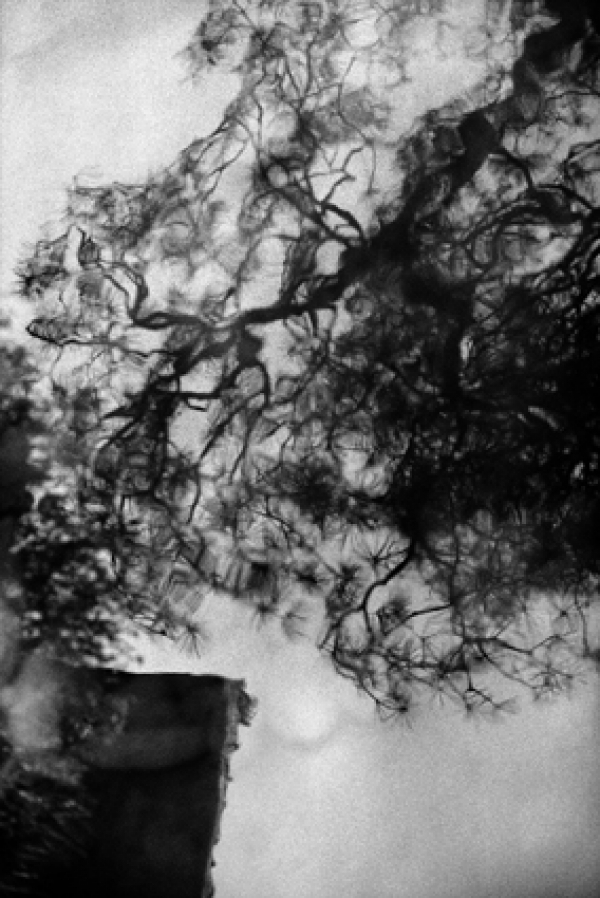 Karmen Corak. Nothing is - Look, and it is