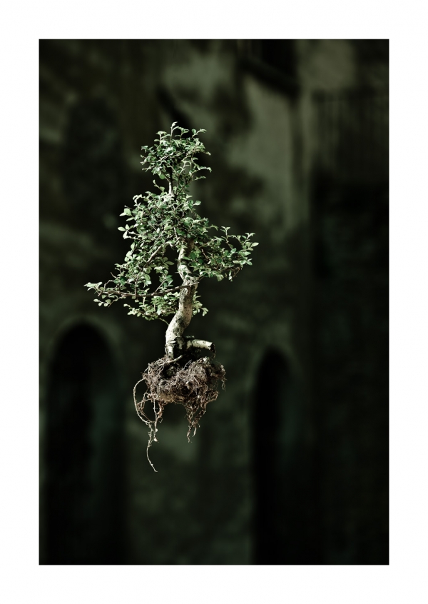 Gianluca Balocco. Naked Plants