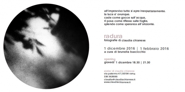 Claudia Chianese. Radura