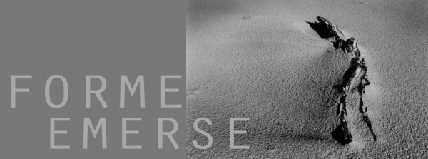 Giovanna Chessa. Forme emerse
