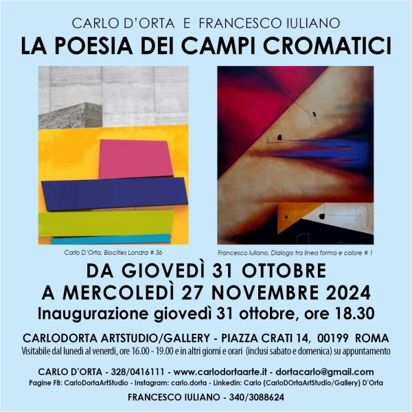 Carlo D'Orta e Francesco Iuliano. La poesia dei campi cromatici