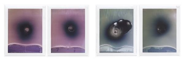 Through the book(s) - Alessandro Dandini de Sylva. Vuoti e Bruciature