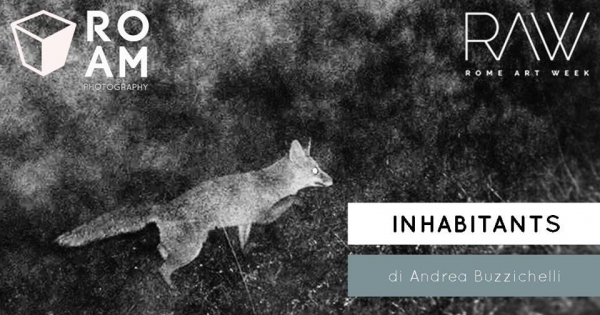 Andrea Buzzichelli. Inhabitants