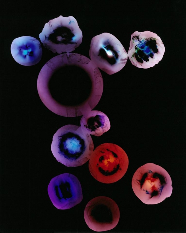 Yuki Seli. Suiray - Placenta