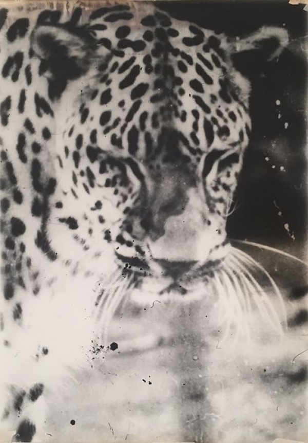 Monica Carocci. Outer Space