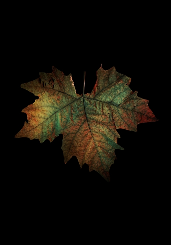 Serena Vittorini e Melissa Pallini. Enlightening Surfaces