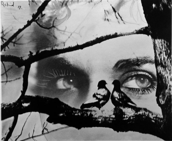 Astrid Allard. Tra sogno e utopia