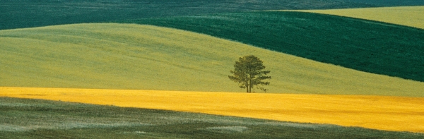 Extraordinary Visions. L'Italia ci guarda