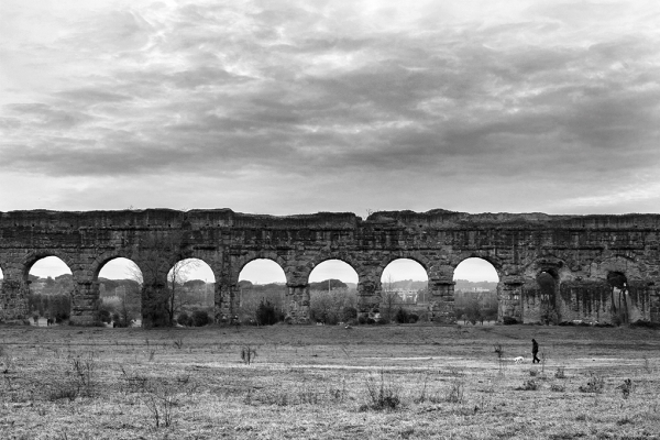 Sandro Luciani. Il Parco Regionale dell'Appia Antica tra storia e natura