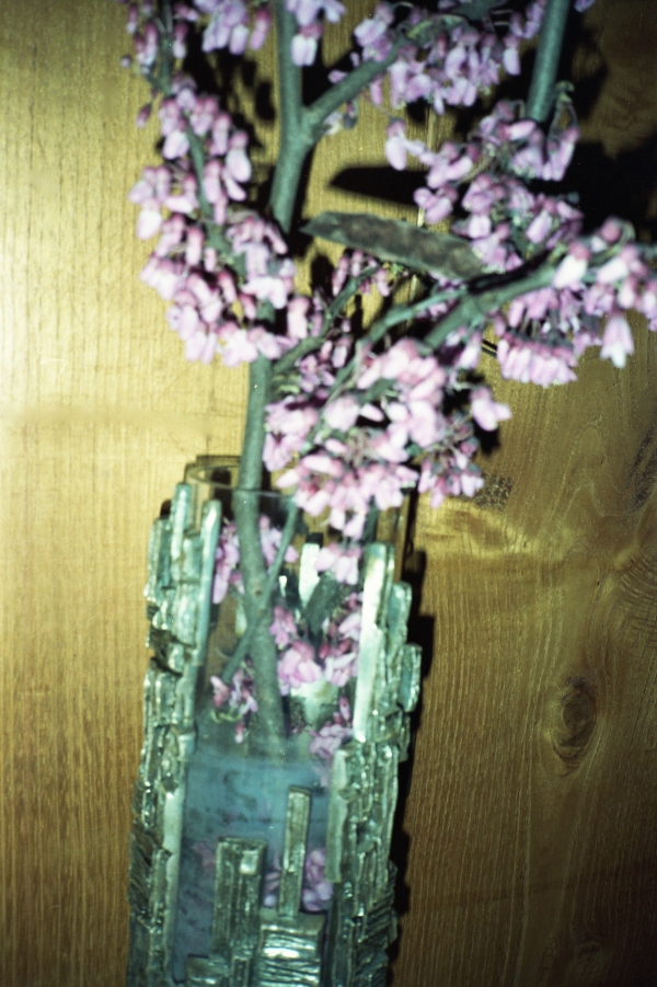 This has to do with me. Sabato 22 novembre a Lateral inaugura la mostra di Valerie Giampietro a cura di Ermes Ermes