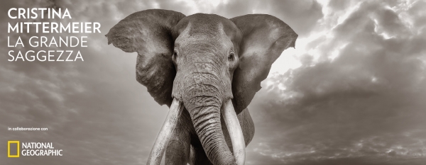 Cristina Mittermeier. La grande saggezza. Dal 3 ottobre al 15 febbraio 2026 alle Gallerie d'Italia Vicenza di Intesa San Paolo una mostra in collaborazione con National Geographic che celebra il lavoro della grande fotografa messicana