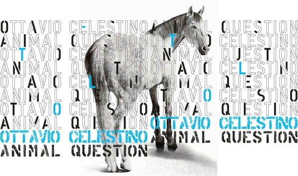Ottavio Celestino. Animal Question