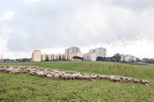La citt&agrave; verde
