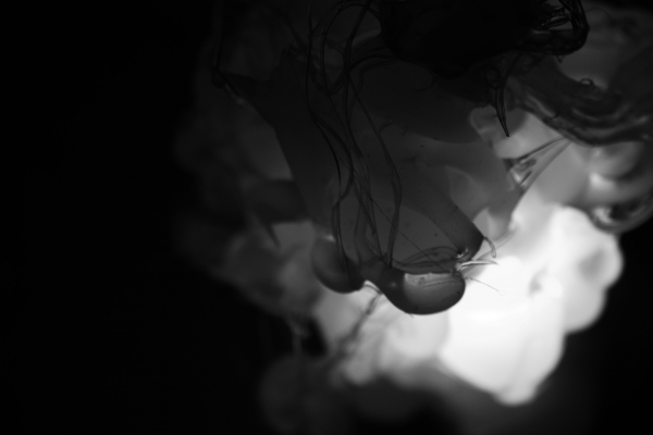 Matteo Agarla. Light and Shadow