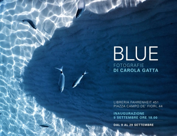 Carola Gatta. Blue
