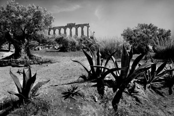 Mario Vidor. Le pietre della memoria