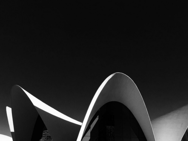 Claudio Nardulli. Interpretazione di una forma. Fotografie e sculture