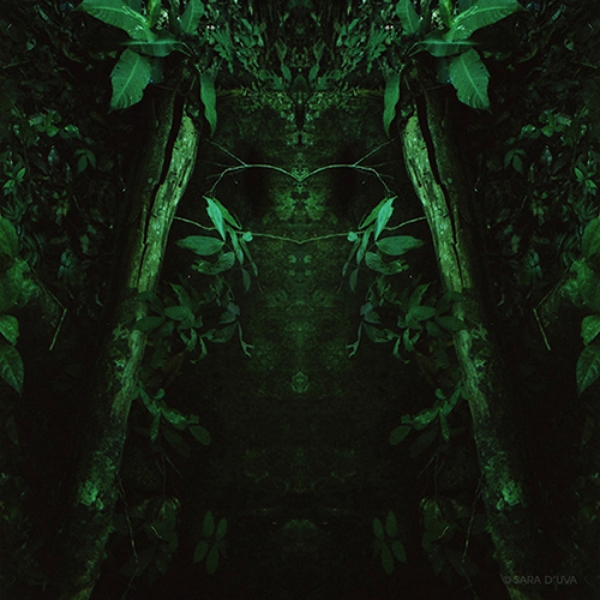 Sara D&rsquo;Uva. The Unseen