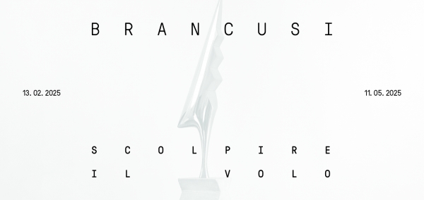 Brancusi. Scolpire il volo