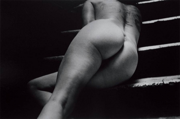 Manuela Verdi. Il sogno di Herma