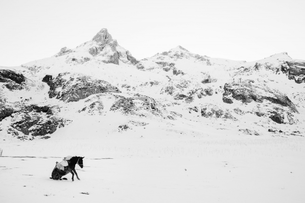 Frederik Buyckx. Wolf